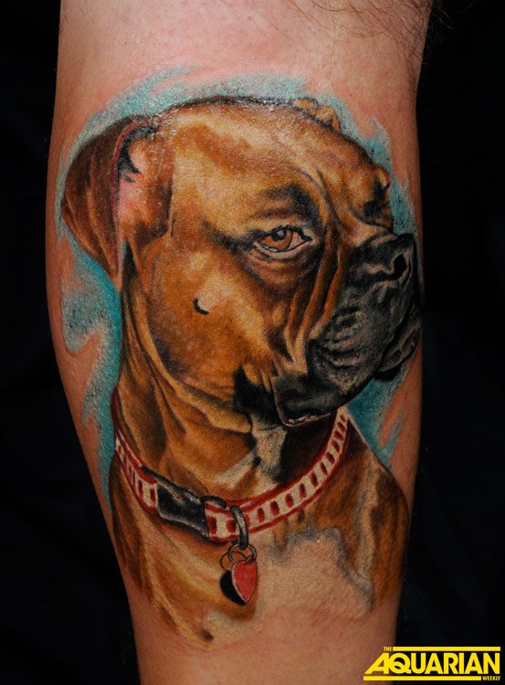 Dog Portrait (Paul Nolin)
